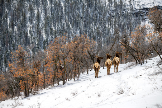 �1759692 �������(a): ����������:2048x1365